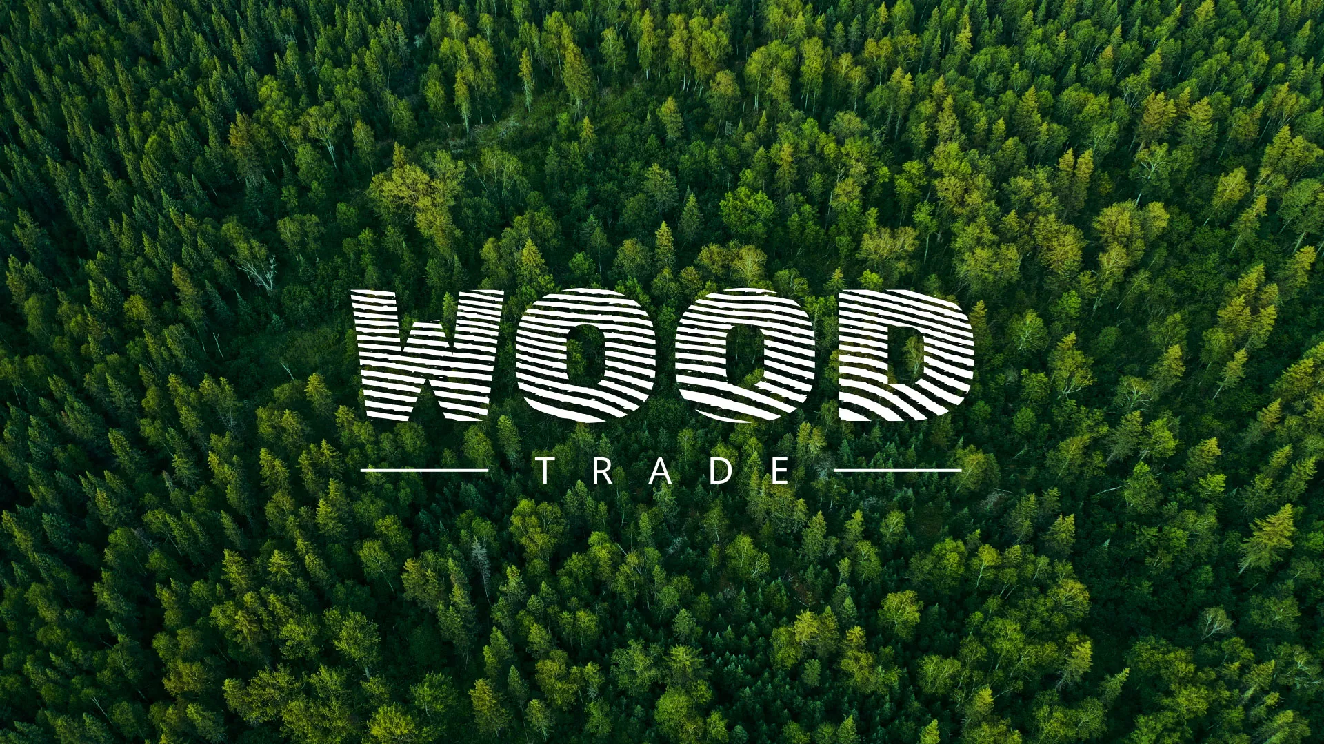 Разработка интернет-магазина компании «Wood Trade» в Мурманске